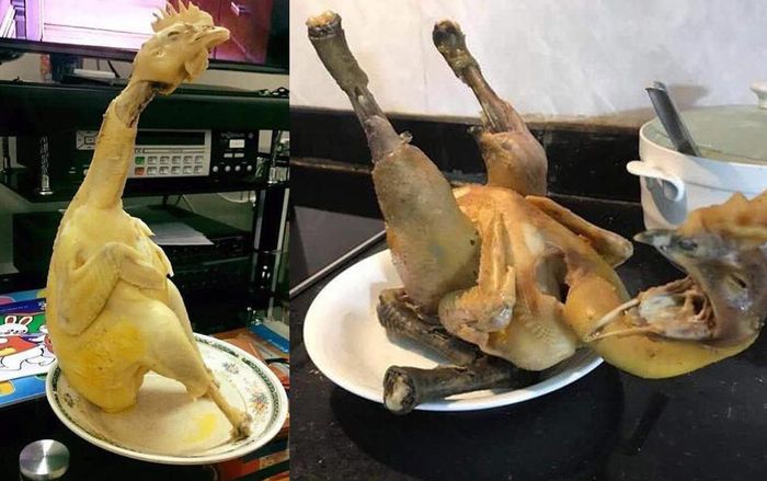 Muôn kiểu tạo dáng gà cúng ngày Tết khiến dân tình 'giật bắn mình'