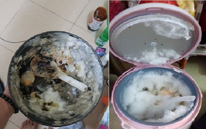 'Đặc sản' sau Tết khiến giới sinh viên ngao ngán: Nồi cơm điện mốc meo, nấm mọc thành tầng trắng xóa