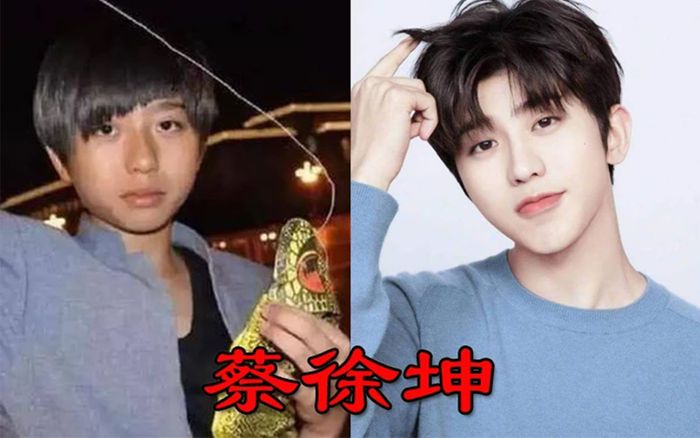 Giật mình với hình ảnh trong quá khứ của những nam thần Hoa Ngữ