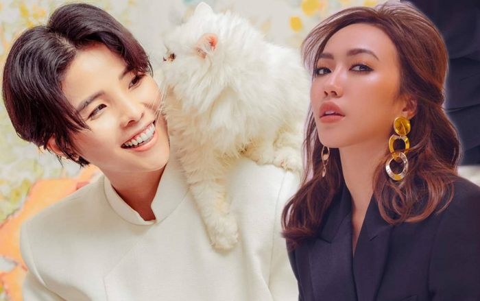 Vũ Cát Tường tung ảnh 'xịn' cùng mèo đón Tết, Diệu Nhi vào 'phán' một câu khiến fan chỉ biết… quỳ