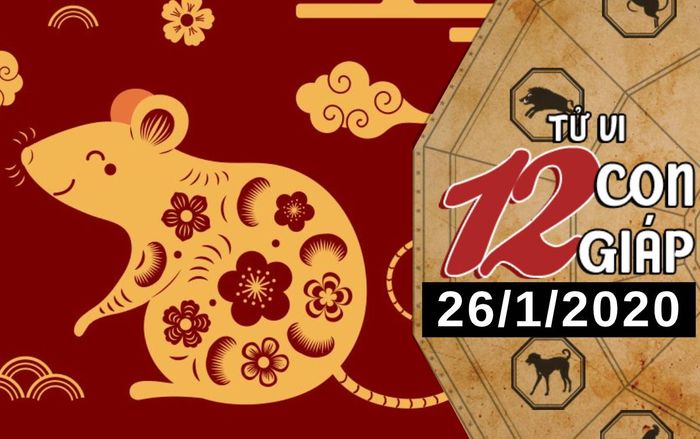 Tử vi chủ nhật ngày 26/1/2020 của 12 con giáp: Tý may mắn về tài chính, Sửu chú ý về sức khỏe