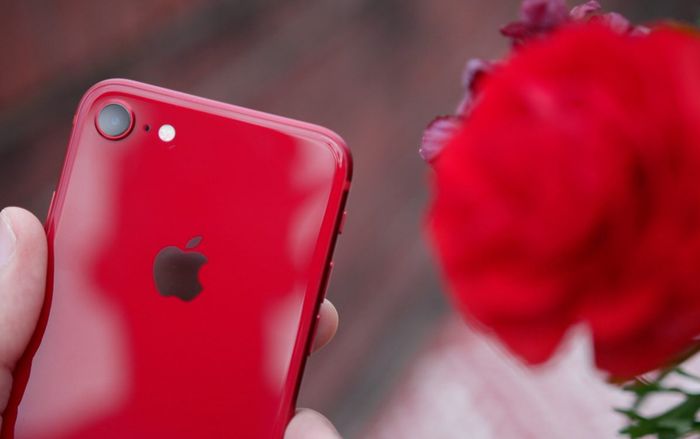 Bloomberg: iPhone giá rẻ mới của Apple sẽ lên kệ vào tháng 3
