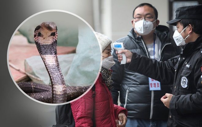 Giả thiết về nguồn gốc của chủng virus corona gây bệnh viêm phổi lạ