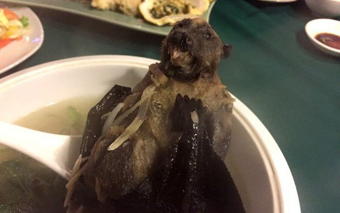 Cận cảnh súp dơi, món ăn bị nghi vấn là nguyên nhân bùng phát dịch viêm phổi lạ tại Vũ Hán