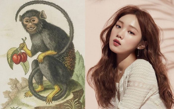 Trong tháng Giêng năm 2020, 'thần may mắn' sẽ gọi tên những con giáp này