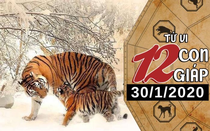 Tử vi thứ 5 ngày 30/1/2020 của 12 con giáp: Dần nên mạnh dạn bày tỏ tình cảm, Thìn có những thay đổi bước ngoặt về tài chính