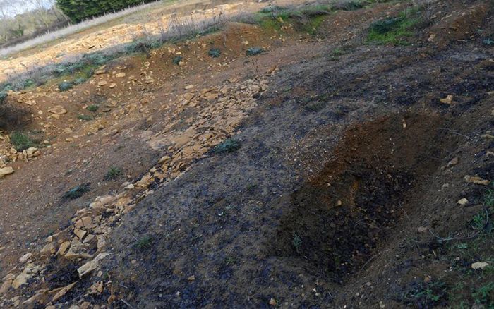 Phát hiện 42 thi thể bị trói quặt tay ra sau lưng trong trang trại cũ