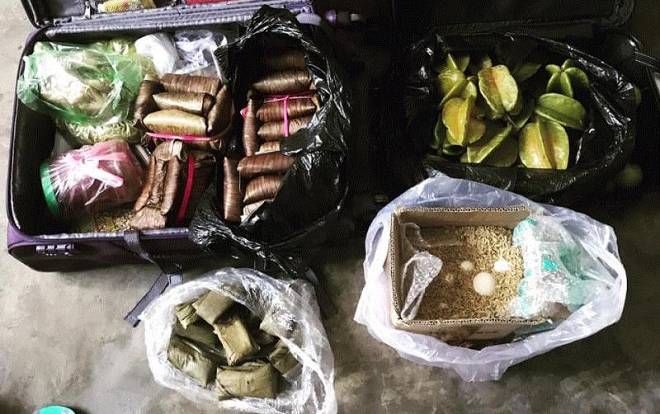 Trở lại học tập và làm việc sau kỳ nghỉ Tết, ai ai cũng được bố mẹ 'gói cả quê hương mang ra thành phố'