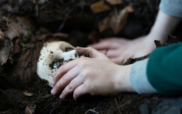 'Brahms: The Boy 2' trở lại đầy ám ảnh, gieo rắc nỗi sợ hãi kinh hoàng hơn phần 1