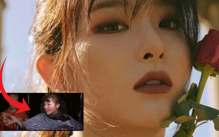 3 điều chứng minh Seulgi (Red Velvet) không chỉ đa tài trên sân khấu mà còn rất giỏi sinh tồn trong tự nhiên