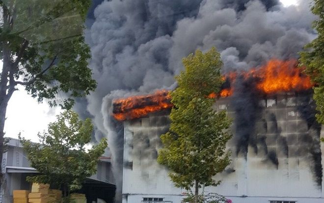 Công ty ở Bình Dương cháy dữ dội, khu xưởng hàng ngàn mét vuông bị đổ sập
