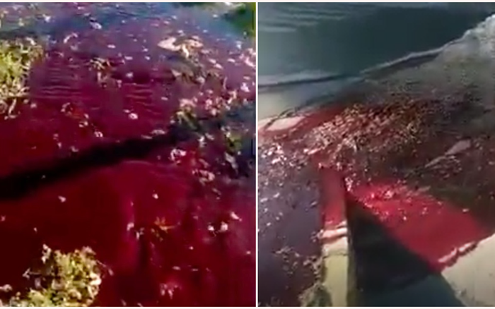 Mặt đất như nhuộm máu sau trận động đất 6,8 độ