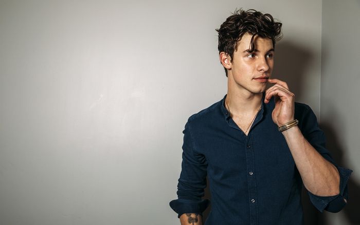 Giấc mơ của mọi cặp đôi: Shawn Mendes hát khúc tình ca trong đám cưới của nhân viên