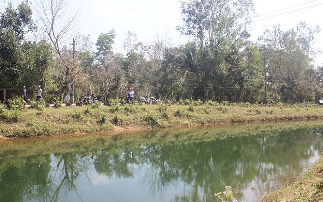 Câu cá dưới đường dây điện, nam thanh niên bị giật tử vong thương tâm