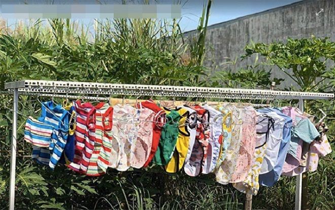 Nữ sinh về quê ăn Tết bị hàng xóm đồn 'chửa hoang trên thành phố' vì phơi nhiều quần áo chó mèo