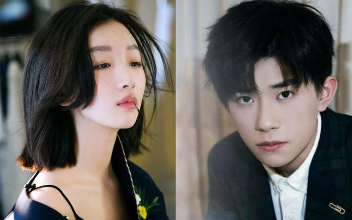 BXH Top 10 độ chuyên nghiệp của minh tinh 2019: Cặp đôi 'Em của niên thiếu' chia nhau hai vị trí dẫn đầu