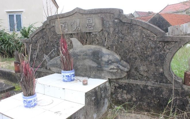 Hà Tĩnh: Độc đáo khu nghĩa trang thờ hơn 100 con cá Ông