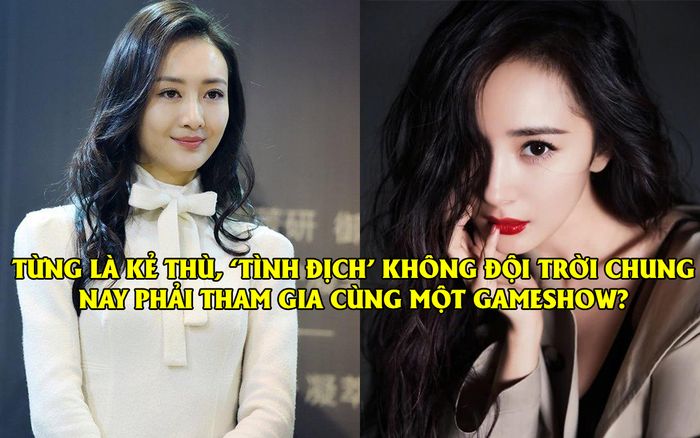Choáng váng trước tin Dương Mịch - Vương Âu cùng Angelababy - Tần Lam tham gia show tuyển chọn thực tập sinh nhóm nhạc