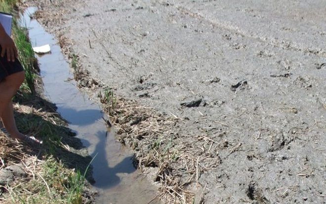 Cha chết, con bị thương do dinh 'bẫy điện' ngoài đồng trong lúc đi soi ếch