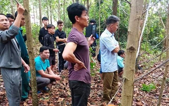 Phát hiện thi thể người đàn ông chết trong tư thế treo cổ ở vườn keo