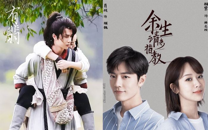 'Hữu phỉ' hay 'Dư sinh xin chỉ giáo nhiều hơn' sẽ thành công hơn trong năm 2020?