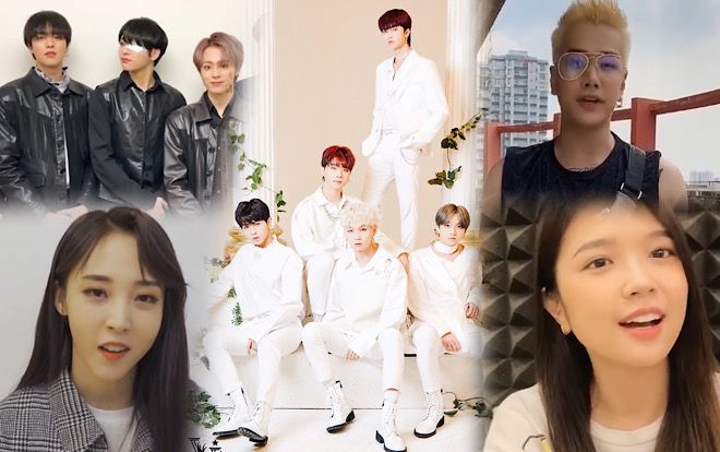 Mamamoo, ONEUS, Suni Hạ Linh và Lou Hoàng chúc mừng D1Verse debut: 'Nhóm nhạc quốc dân Việt Nam!'