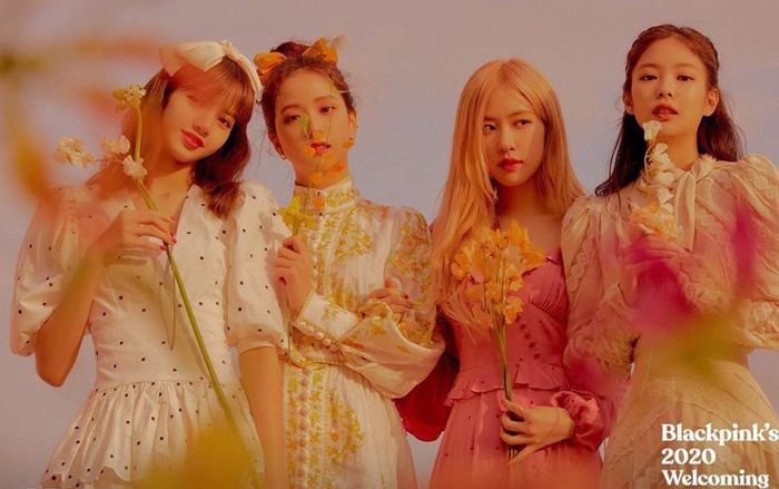 Loạt kế hoạch của YG Ent: BlackPink comeback vào tháng 4, debut nhóm nữ nửa cuối 2020