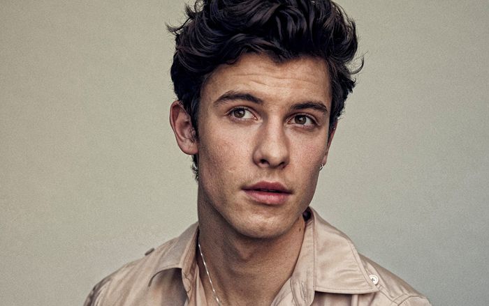 Shawn Mendes xác nhận sẽ biến mất khỏi làng giải trí một thời gian để chuẩn bị cho điều đặc biệt này
