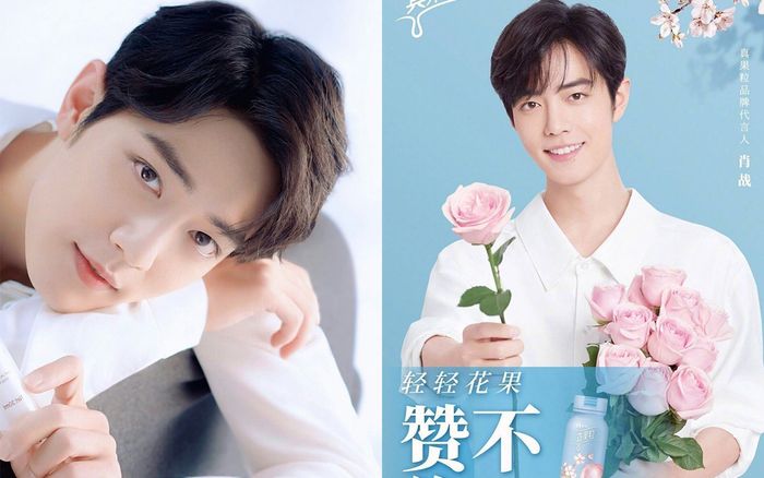 Nhà đầu tư lo lắng khi antifan Tiêu Chiến chống đối thương hiệu, giữ thái độ quan sát trước khi ra quyết định cuối cùng!