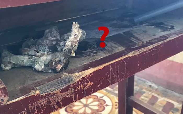 Ngày đầu quay lại lớp sau kỳ nghỉ Tết dài kỷ lục, cậu bạn vừa khóc vừa cười lôi ra 'vật thể lạ' trong ngăn bàn