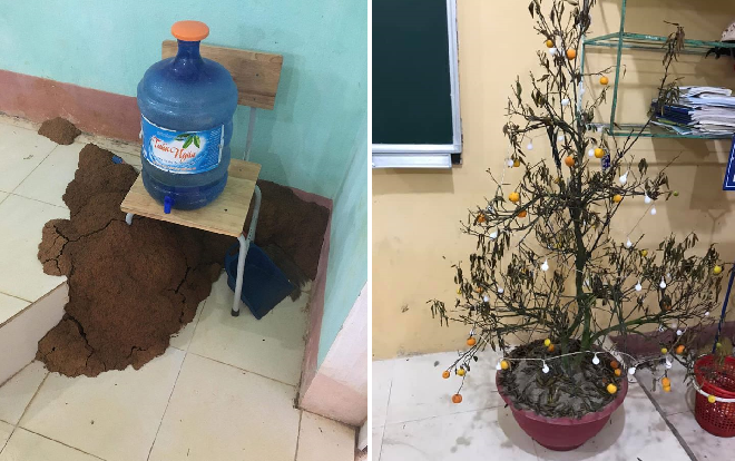 Cảnh hoang tàn của lớp học, phòng trọ sinh viên sau kỳ nghỉ dài vì dịch COVID-19: Ổ mối to đùng, cây héo, nồi cơm bốc mùi và hàng tá những nỗi khổ!