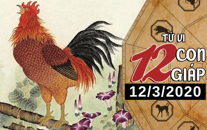 Tử vi thứ 5 ngày 12/3/2020 của 12 con giáp: Dần nhận được thành quả xứng đáng trong công việc, Mão dễ vướng thị phi