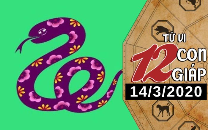 Tử vi thứ 7 ngày 14/3/2020 của 12 con giáp: Tỵ gặp trở ngại trong công việc, Tuất được 'thần tài lộc gõ cửa'