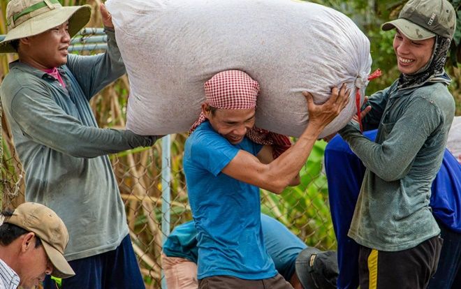 Nông dân miền Tây vào mùa gặt