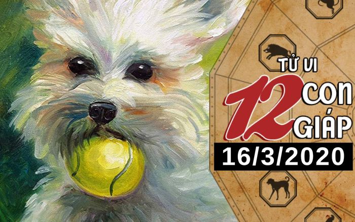 Tử vi thứ 2 ngày 16/3/2020 của 12 con giáp: Tuất nhận tin vui trong công việc, Hợi có khả năng 'thoát ế' cao
