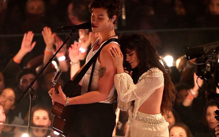 Camila Cabello và Shawn Mendes mở concert tại gia khuyến khích fan tự cách ly, cùng loạt sao phòng chống COVID-19