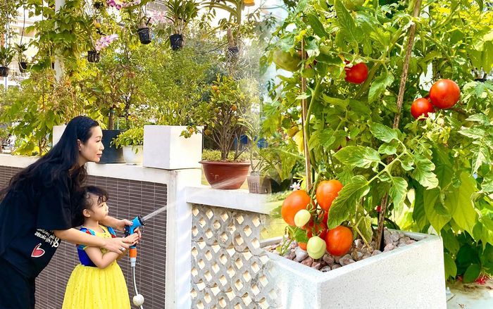 Mát mắt với khu vườn toàn cây ăn quả trong biệt thự rộng 200 m2 của NSƯT Trịnh Kim Chi và chồng đại gia