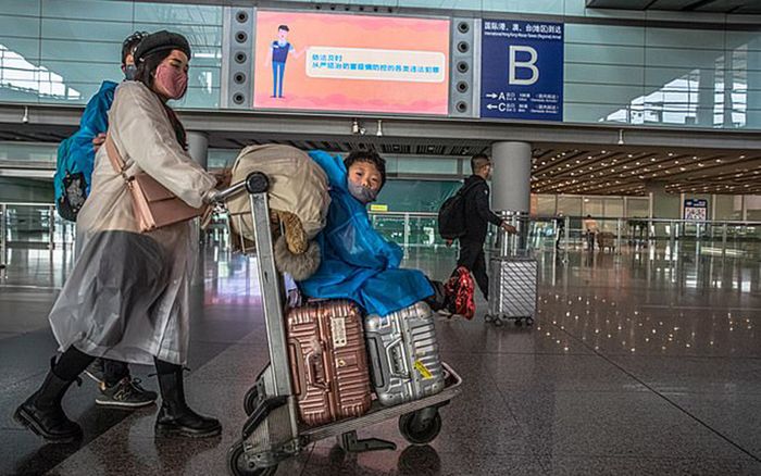 Giấu triệu chứng COVID-19 để được về nước, nữ nhân viên bị sa thải thẳng tay