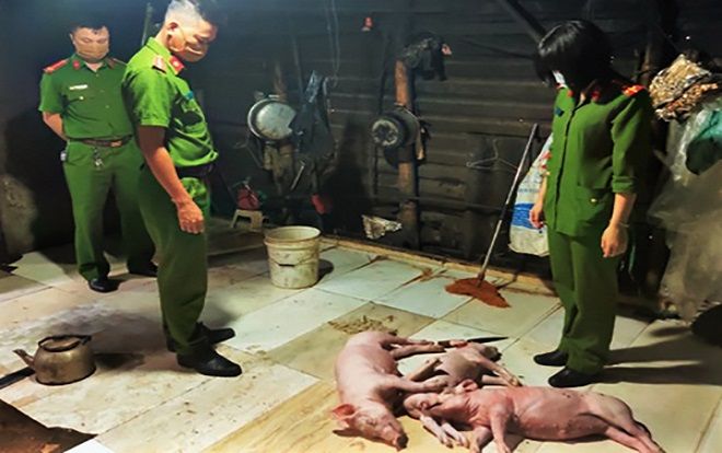 Hà Tĩnh: Chủ cơ sở mua lợn chết về quay để bán cho khách hàng