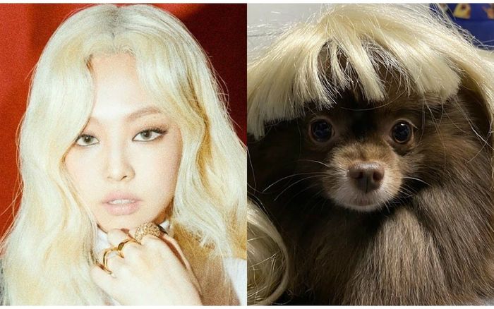 Xem loạt ảnh 'chị em song sinh' dễ thương muốn xỉu của Jennie (BlackPink) và cún cưng