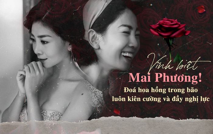 Vĩnh biệt Mai Phương! Đoá hoa hồng trong bão luôn kiên cường và đầy nghị lực