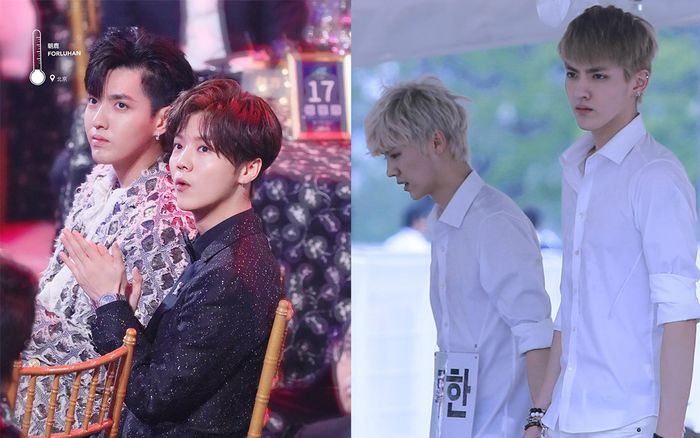 Lý do Lộc Hàm - Ngô Diệc Phàm cùng hợp tác ca khúc mới nhằm hâm nóng tên tuổi!