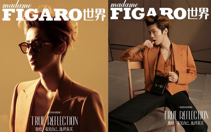 Lộc Hàm lại khẳng định vị thế của đỉnh cấp lưu lượng: Hơn 37 ngàn bản tạp chí cháy hàng chỉ trong vài giây!