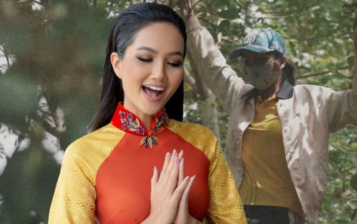 Đi hái hoa quả giữa ban trưa, H'Hen Niê vội vã trèo lên cành cây cao để… nhảy múa