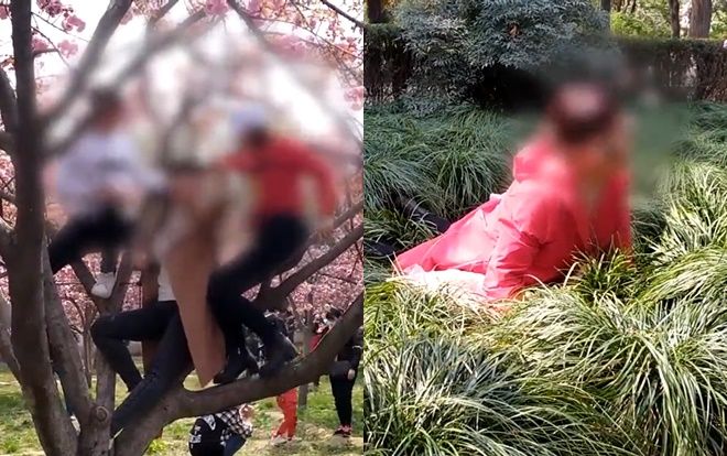 Người dân Trung Quốc không đeo khẩu trang, đổ xô đi ngắm hoa sau đại dịch