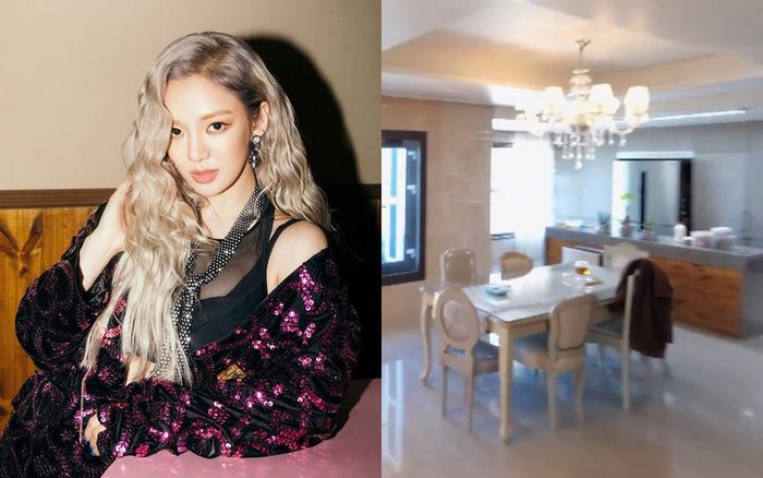 Hyoyeon (SNSD) bị chỉ trích vì lợi dụng lên sóng truyền hình để quảng cáo bán nhà