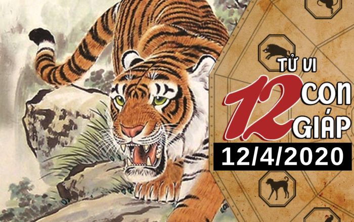 Tử vi chủ nhật ngày 12/4/2020 của 12 con giáp: Dần được nhiều người theo đuổi, Sửu dễ mâu thuẫn với đồng nghiệp
