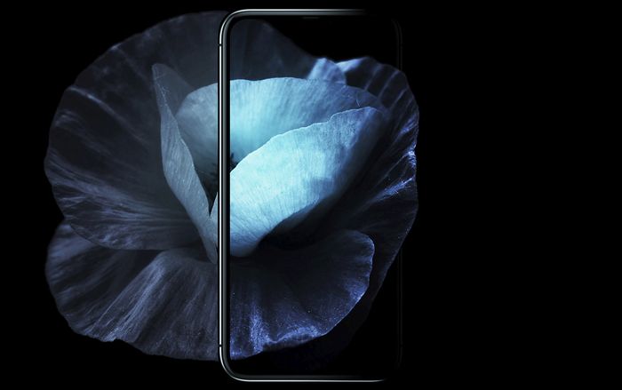 iPhone 12 Pro lột xác đầy ấn tượng với màn hình siêu tràn viền, 5 camera sau