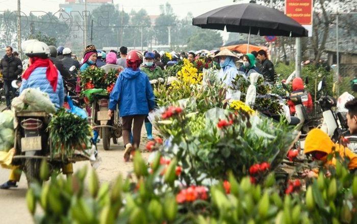 Khẩn cấp tìm những người từng đến chợ hoa Mê Linh từ ngày 20/3 đến nay