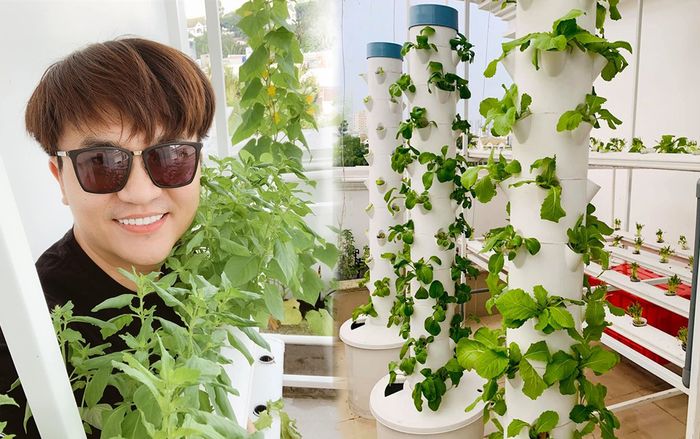 Mướt mắt với vườn rau thủy canh trên tầng thượng biệt thự tiền tỉ của MC Đại Nghĩa